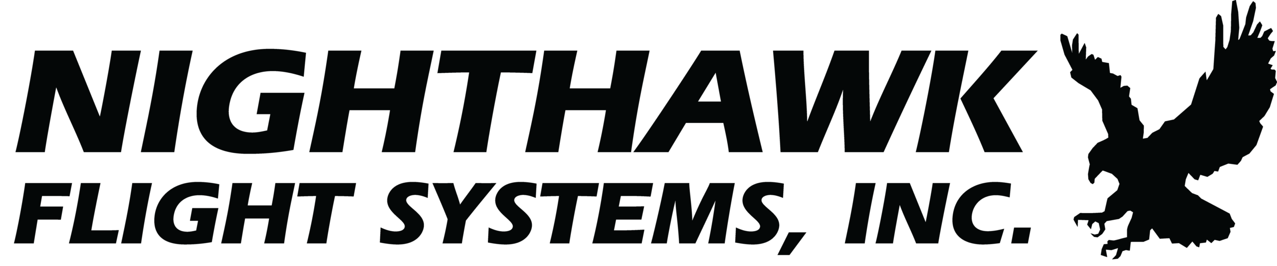 logo-nighthawk-full-black
